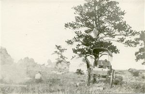 Image description is not available for PHO-4-W689-139